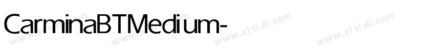 CarminaBT Medium字体转换 CarminaBT Medium字体转换